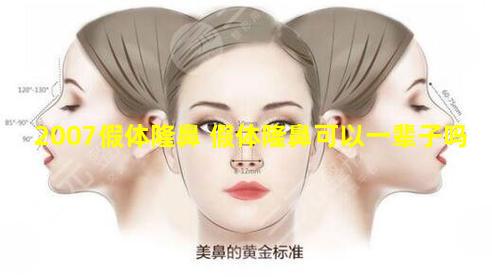 2007假体隆鼻 假体隆鼻可以一辈子吗